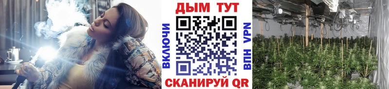 Купить закладку Чухлома Кокаин Меф Alpha PVP Галлюциногенные грибы Гашиш