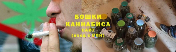 ПСИЛОЦИБИНОВЫЕ ГРИБЫ Алзамай